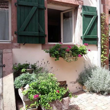 Charmant Petit Appartement En Alsace Bouxwiller  Exterior foto