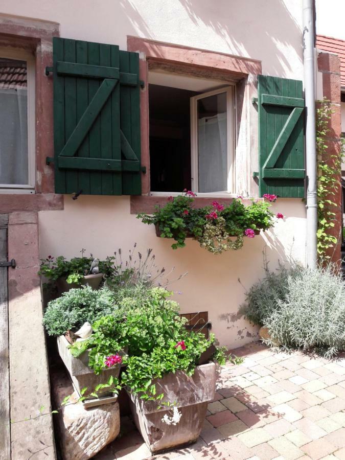 Charmant Petit Appartement En Alsace Bouxwiller  Exterior foto